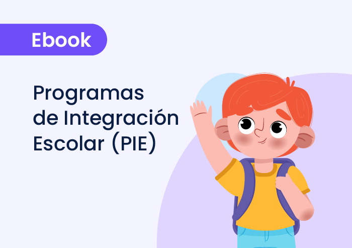 Programa de Integración Escolar (PIE): fundamentos, implementación y trabajo interdisciplinario en el contexto educativo